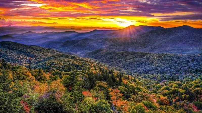 Vibrant sunset over a vast, hilly forest landscape with colorful clouds.