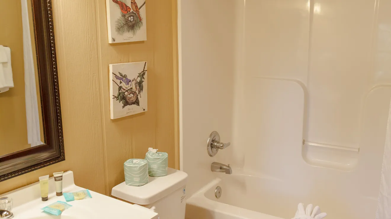 Bathroom with a wooden vanity, toilet, and tub-shower combo. Wall art and toiletries are visible.