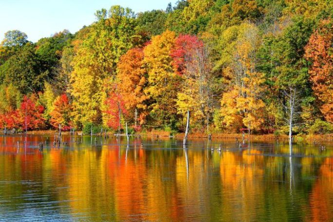 Autumn trees with red, orange, and yellow leaves reflecting on a lake.