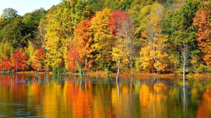 Autumn trees with red, orange, and yellow leaves reflecting on a lake.