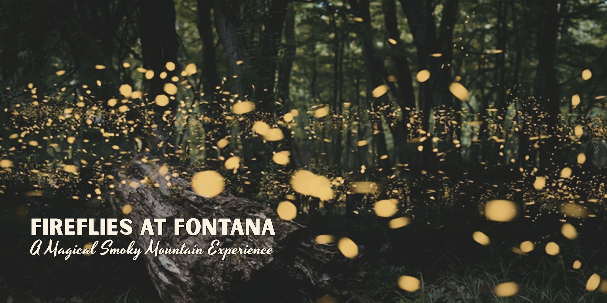Fireflies glowing in a forest with overlay text about Fontana.