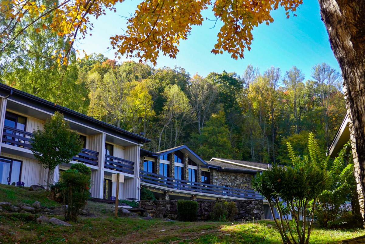 Buildings surrounded by autumn trees on a sunny day.